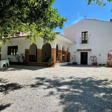 צ'פאלו Villa Tana Pacenzia מראה חיצוני תמונה
