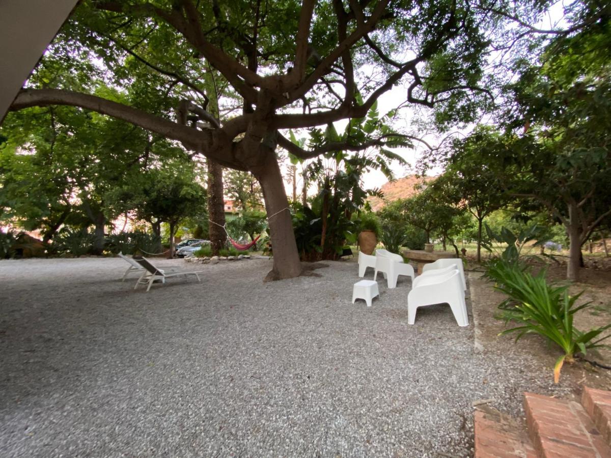 צ'פאלו Villa Tana Pacenzia מראה חיצוני תמונה